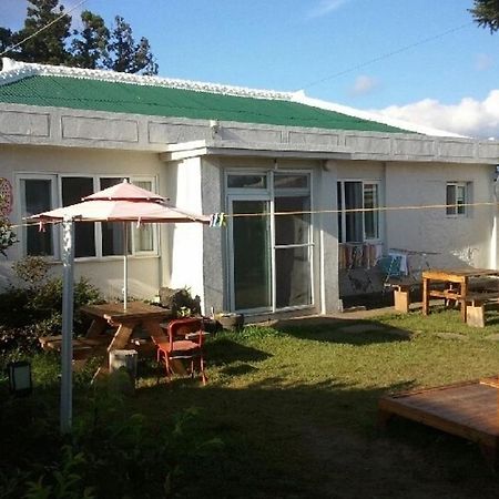 Sheelddi Pension Seogwipo Dış mekan fotoğraf