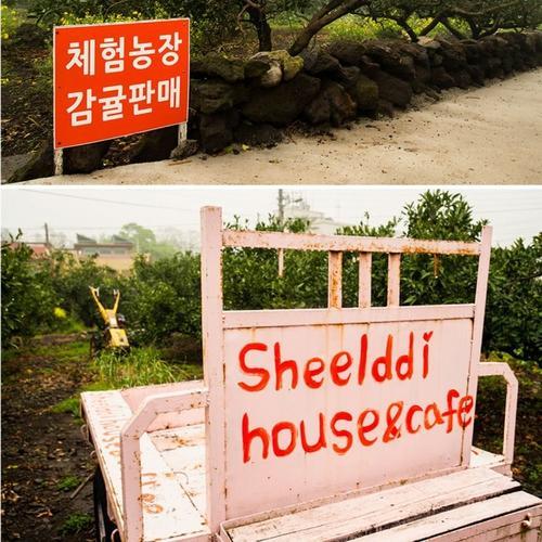 Sheelddi Pension Seogwipo Dış mekan fotoğraf